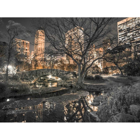 Evening view of Central Park in New York City Black Modern Wood Framed Art Print with Double Matting by Frank, Assaf