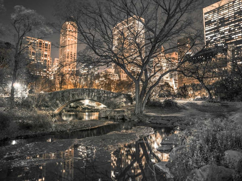 Evening view of Central Park in New York City Black Ornate Wood Framed Art Print with Double Matting by Frank, Assaf