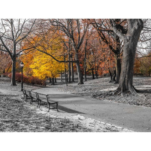 Pathway through Central Park, New York Black Modern Wood Framed Art Print with Double Matting by Frank, Assaf
