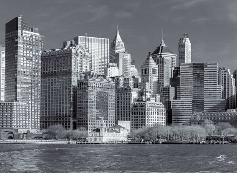 Lower Manhattan Skyline with skyscrapers, New York Black Ornate Wood Framed Art Print with Double Matting by Frank, Assaf