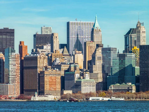Lower Manhattan Skyline with skyscrapers, New York Black Ornate Wood Framed Art Print with Double Matting by Frank, Assaf
