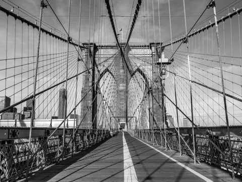 Pedestrian walkway on Brooklyn bridge, New York Black Ornate Wood Framed Art Print with Double Matting by Frank, Assaf