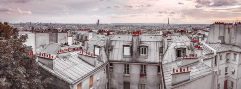 Eiffel Tower seen through the window of an apartment in Montmartre, Paris, France Black Ornate Wood Framed Art Print with Double Matting by Frank, Assaf