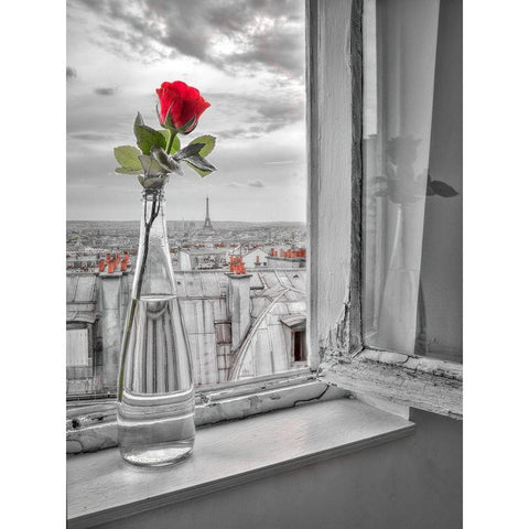 Flower vase on window with Eiffle tower in background-Paris Gold Ornate Wood Framed Art Print with Double Matting by Frank, Assaf
