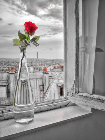 Flower vase on window with Eiffle tower in background-Paris White Modern Wood Framed Art Print with Double Matting by Frank, Assaf