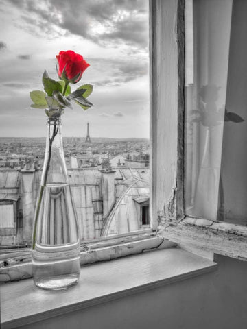 Flower vase on window with Eiffle tower in background, Paris Black Ornate Wood Framed Art Print with Double Matting by Frank, Assaf