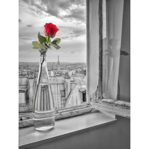 Flower vase on window with Eiffle tower in background, Paris Black Modern Wood Framed Art Print with Double Matting by Frank, Assaf