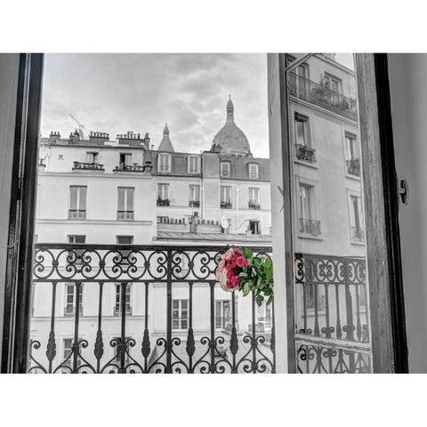 Bunch of flowers on balcony railing in an apartment of Montmartre, Paris, France Black Modern Wood Framed Art Print by Frank, Assaf
