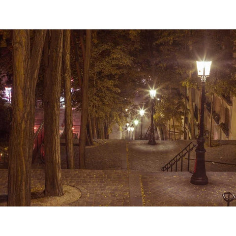 Street lights on steep stairs in city of Montmartre, Paris Black Modern Wood Framed Art Print with Double Matting by Frank, Assaf