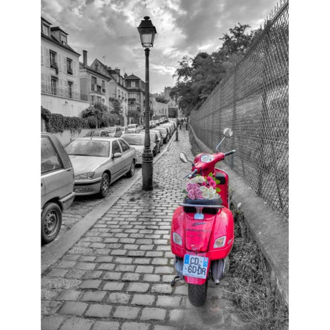 Bunch of Roses on scooter, Paris, France White Modern Wood Framed Art Print by Frank, Assaf