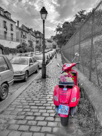 Bunch of Roses on scooter, Paris, France White Modern Wood Framed Art Print with Double Matting by Frank, Assaf