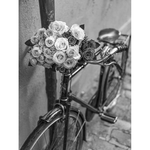 Bunch of Roses on bicycle, Paris, France Black Modern Wood Framed Art Print by Frank, Assaf