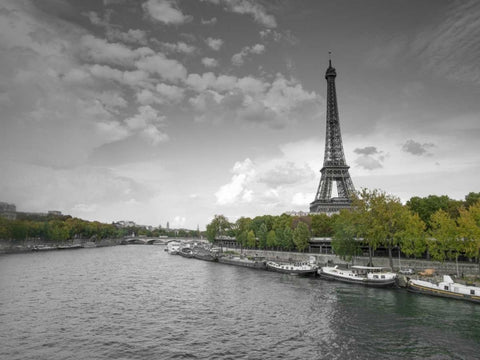 River Seine and Eiffel tower, Paris, France Black Ornate Wood Framed Art Print with Double Matting by Frank, Assaf