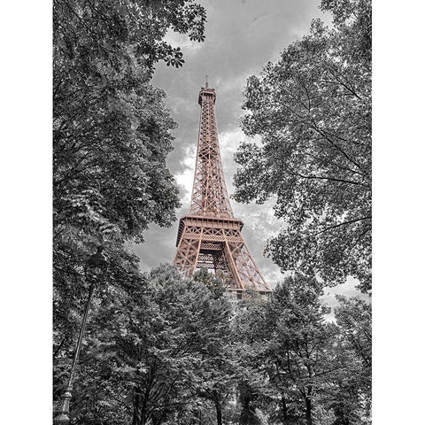 Eiffel Tower through trees Black Modern Wood Framed Art Print with Double Matting by Frank, Assaf