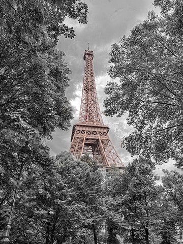 Eiffel Tower through trees Black Ornate Wood Framed Art Print with Double Matting by Frank, Assaf