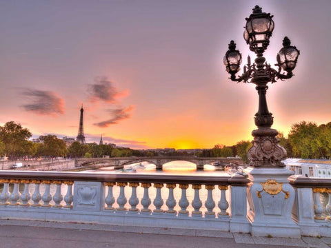 Street light on a bridge with Eiffel Tower in bakcground, Paris, France Black Ornate Wood Framed Art Print with Double Matting by Frank, Assaf