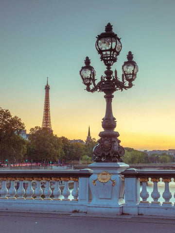 Street light on a bridge with Eiffel Tower in bakcground, Paris, France Black Ornate Wood Framed Art Print with Double Matting by Frank, Assaf