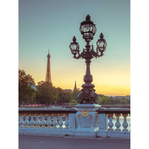 Street light on a bridge with Eiffel Tower in bakcground, Paris, France Black Modern Wood Framed Art Print with Double Matting by Frank, Assaf