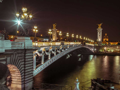 Pont Alexandre III bridge over River Seine, Paris, France White Modern Wood Framed Art Print with Double Matting by Frank, Assaf