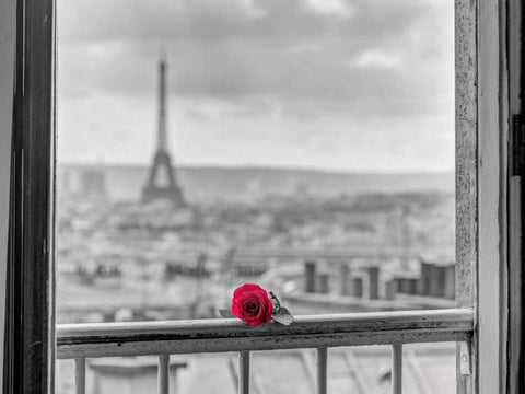 Rose on balcony railing with Eiffel Tower in background, Paris, France Black Ornate Wood Framed Art Print with Double Matting by Frank, Assaf