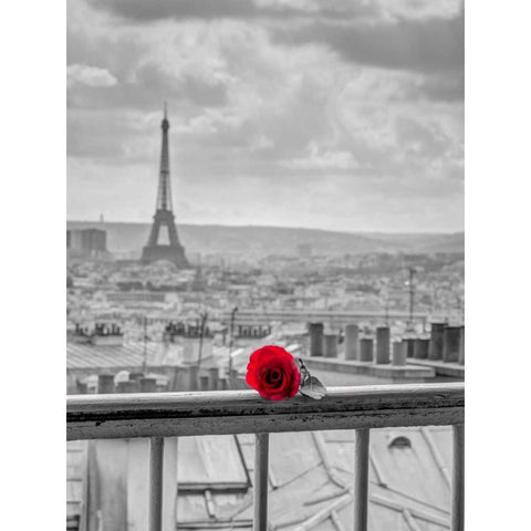 Rose on balcony railing with Eiffel Tower in background, Paris, France Black Modern Wood Framed Art Print with Double Matting by Frank, Assaf
