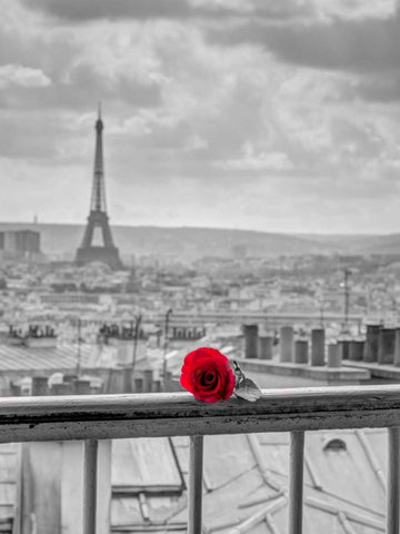 Rose on balcony railing with Eiffel Tower in background, Paris, France Black Ornate Wood Framed Art Print with Double Matting by Frank, Assaf