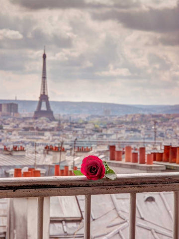 Rose on balcony railing with Eiffel Tower in background, Paris, France Black Ornate Wood Framed Art Print with Double Matting by Frank, Assaf