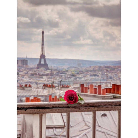 Rose on balcony railing with Eiffel Tower in background, Paris, France Black Modern Wood Framed Art Print with Double Matting by Frank, Assaf