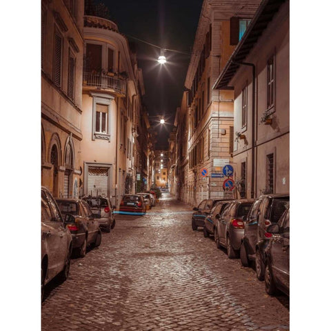 Vehicles parked on narrow city streets of Rome, Italy Gold Ornate Wood Framed Art Print with Double Matting by Frank, Assaf
