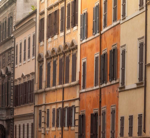 Old buildings in city of Rome, Italy White Modern Wood Framed Art Print with Double Matting by Frank, Assaf