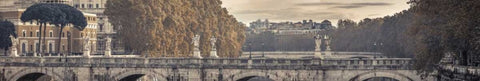 Saint Angelo bridge and Tiber River, Rome, Italy Black Ornate Wood Framed Art Print with Double Matting by Frank, Assaf