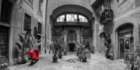 Old Fashioned house with potted plants and scooter, Rome, Italy Black Ornate Wood Framed Art Print with Double Matting by Frank, Assaf
