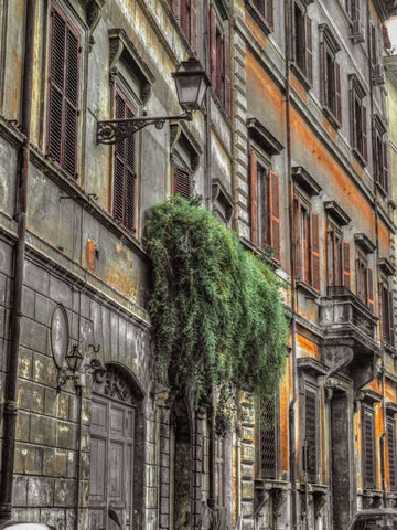 Old building in city of Rome, Italy Black Ornate Wood Framed Art Print with Double Matting by Frank, Assaf
