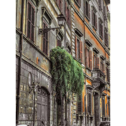 Old building in city of Rome, Italy Black Modern Wood Framed Art Print with Double Matting by Frank, Assaf