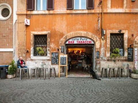 Old building in city of Rome, Italy Black Ornate Wood Framed Art Print with Double Matting by Frank, Assaf