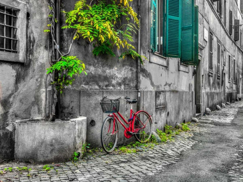 Bicycle outside old building, Rome, Italy Black Ornate Wood Framed Art Print with Double Matting by Frank, Assaf