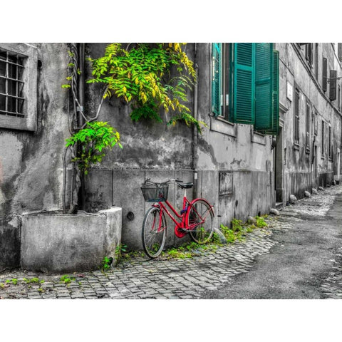 Bicycle outside old building, Rome, Italy Gold Ornate Wood Framed Art Print with Double Matting by Frank, Assaf