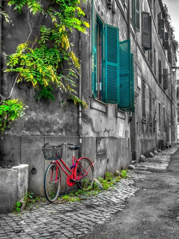 Bicycle outside old building, Rome, Italy Black Ornate Wood Framed Art Print with Double Matting by Frank, Assaf