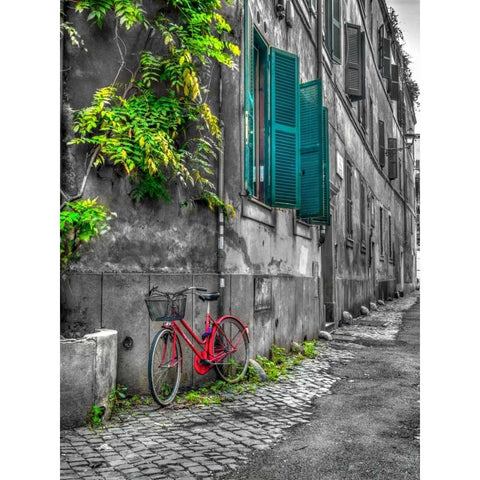 Bicycle outside old building, Rome, Italy Black Modern Wood Framed Art Print with Double Matting by Frank, Assaf