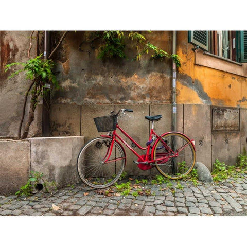 Bicycle outside old building, Rome, Italy Black Modern Wood Framed Art Print with Double Matting by Frank, Assaf