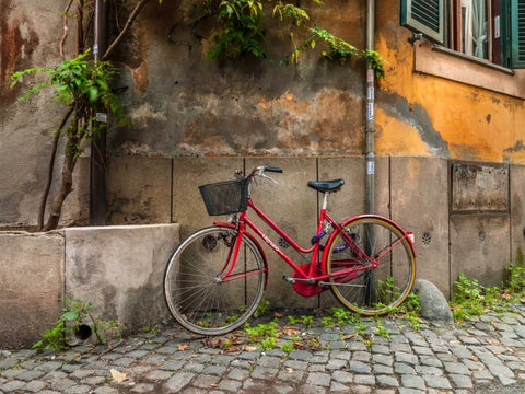 Bicycle outside old building, Rome, Italy Black Ornate Wood Framed Art Print with Double Matting by Frank, Assaf
