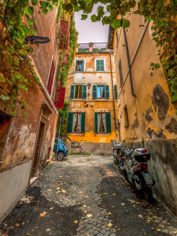 Narrow streets in old town of Rome, Italy Black Ornate Wood Framed Art Print with Double Matting by Frank, Assaf