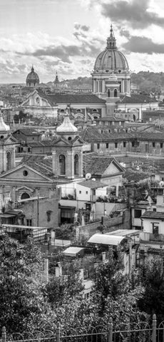 Vatican city with St. Peters Basilica, Rome, Italy Black Ornate Wood Framed Art Print with Double Matting by Frank, Assaf