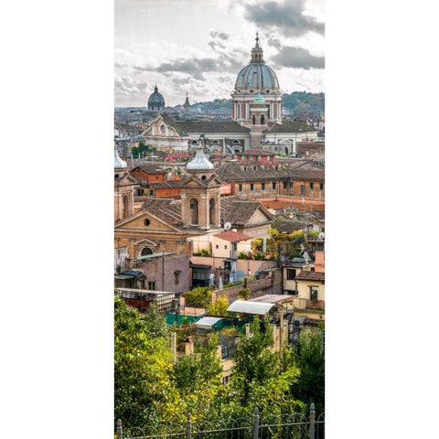 Vatican city with St. Peters Basilica, Rome, Italy Black Modern Wood Framed Art Print with Double Matting by Frank, Assaf