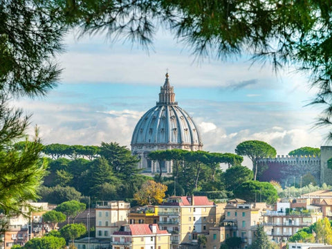 Vatican city with St. Peters Basilica, Rome, Italy Black Ornate Wood Framed Art Print with Double Matting by Frank, Assaf