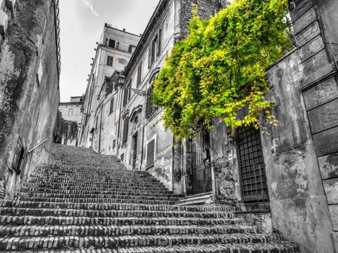 Steps through old buildings in Rome, Italy Black Ornate Wood Framed Art Print with Double Matting by Frank, Assaf