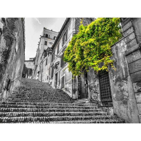 Steps through old buildings in Rome, Italy Black Modern Wood Framed Art Print with Double Matting by Frank, Assaf
