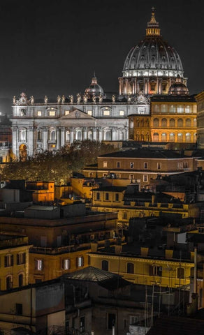 Vatican city with St. Peters Basilica, Rome, Italy Black Ornate Wood Framed Art Print with Double Matting by Frank, Assaf