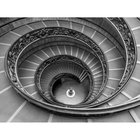 Spiral staircase at the Vatican museum, Rome, Italy Black Modern Wood Framed Art Print with Double Matting by Frank, Assaf