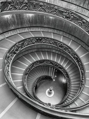 Spiral staircase at the Vatican museum-Rome-Italy Black Ornate Wood Framed Art Print with Double Matting by Frank, Assaf
